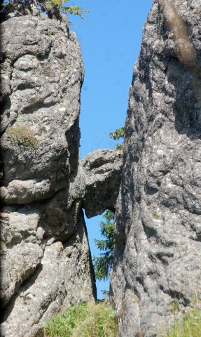 DSC_1015-1
