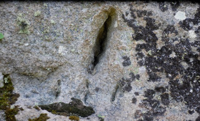 DSC_1033-1