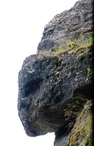 DSC_1046-1