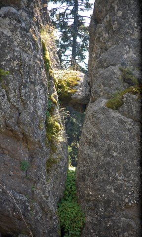 DSC_1075-1