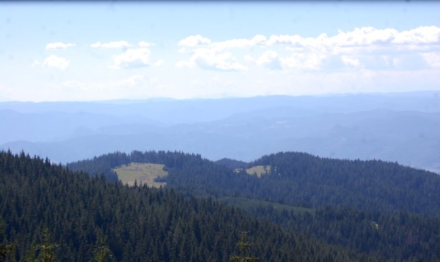 DSC_1077-1
