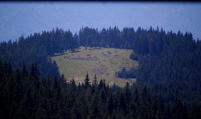 DSC_1079-1