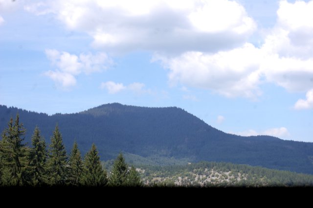 DSC_1288-1