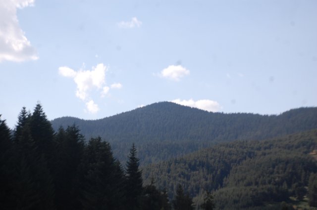DSC_2212-1