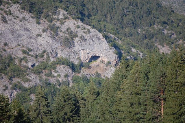 DSC_2323-1