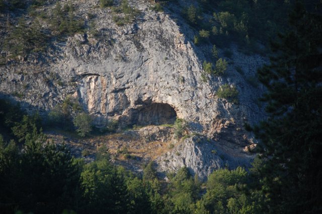 DSC_2334-1