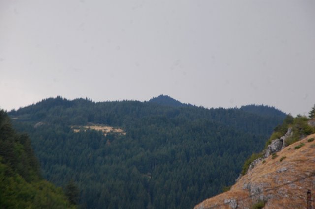 DSC_2392-1