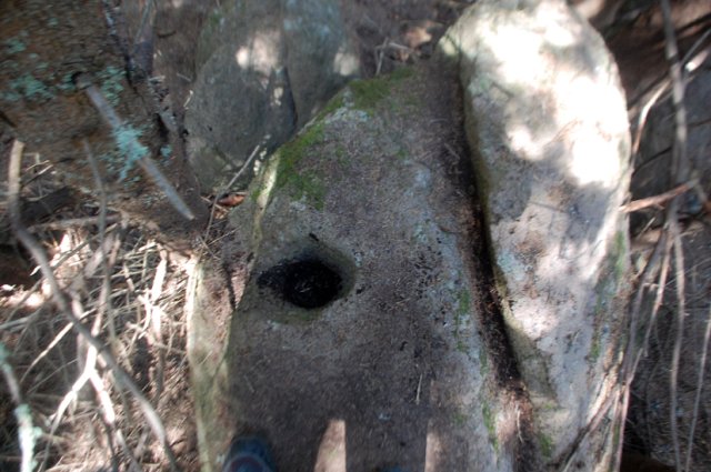 DSC_8792-1