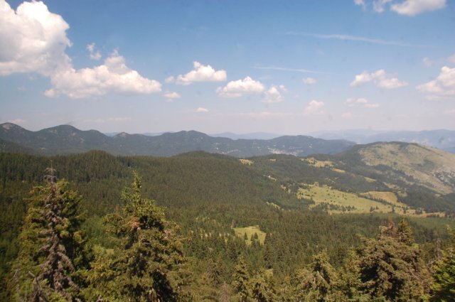 DSC_8852-1