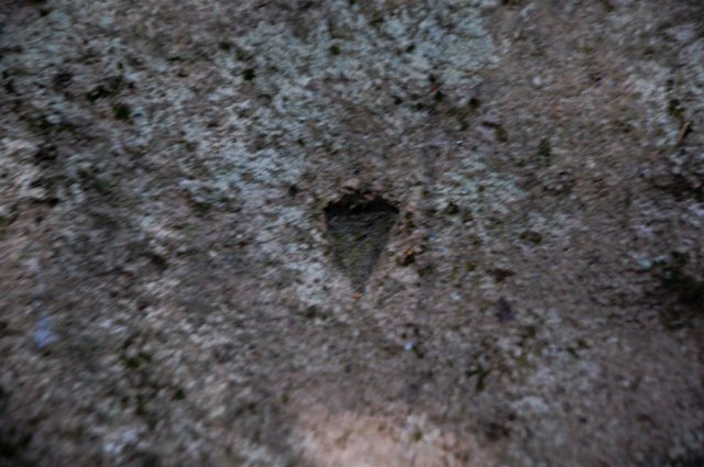 DSC_8977-1
