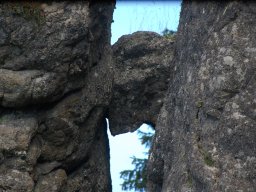 DSC_1000-1