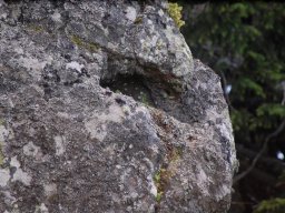 DSC_1051-1