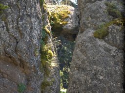 DSC_1075-1
