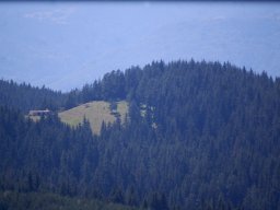 DSC_1082-1