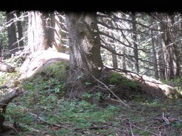 DSC_1097-1