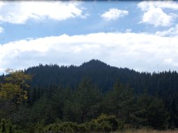 DSC_1187-1