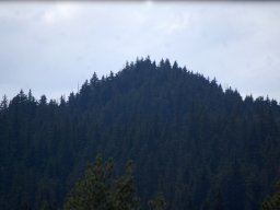 DSC_1188-1