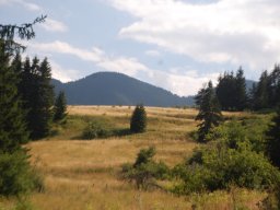 DSC_2194-1