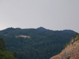 DSC_2392-1