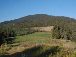 DSC_8749-1