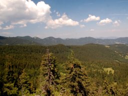 DSC_8851-1