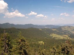 DSC_8852-1