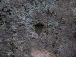 DSC_8977-1