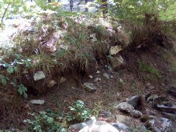 IMG_20180816_134003-1