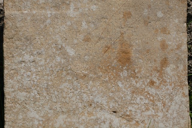 DSC_1347