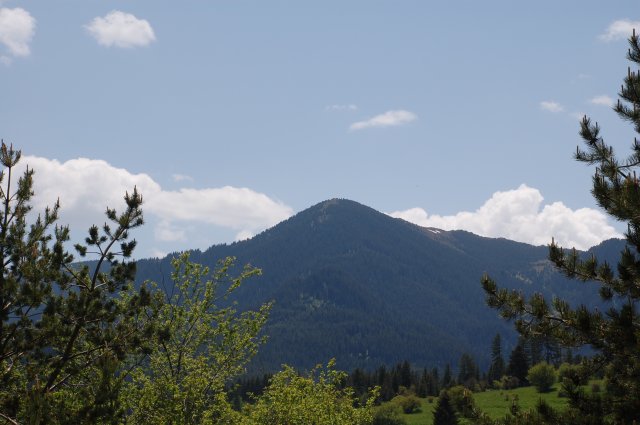 DSC_1367