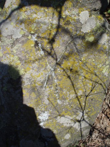 P3150038