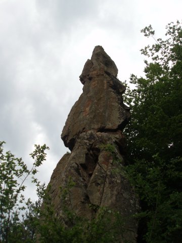 P6060028