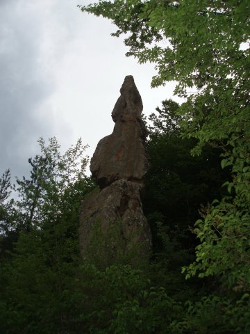 P6060031