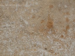 DSC_1347
