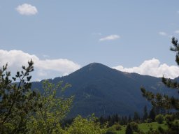 DSC_1367