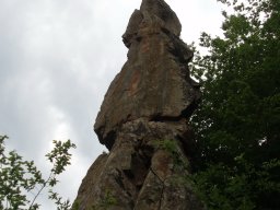 P6060028