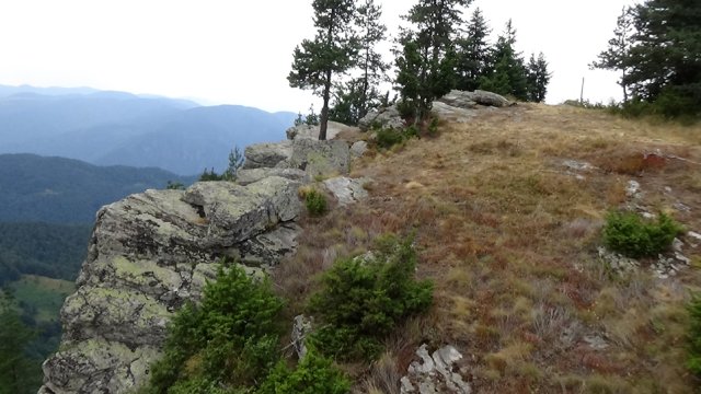 DSC01801-1