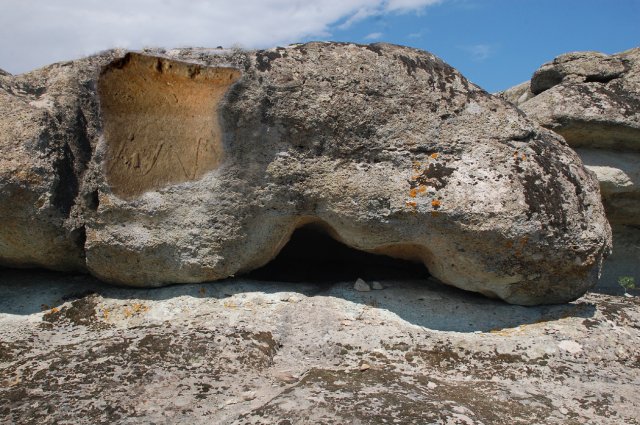 DSC_3249-1
