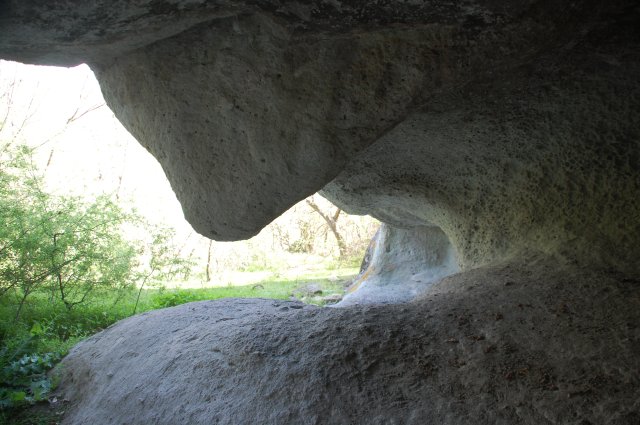 DSC_3276