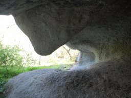 DSC_3276