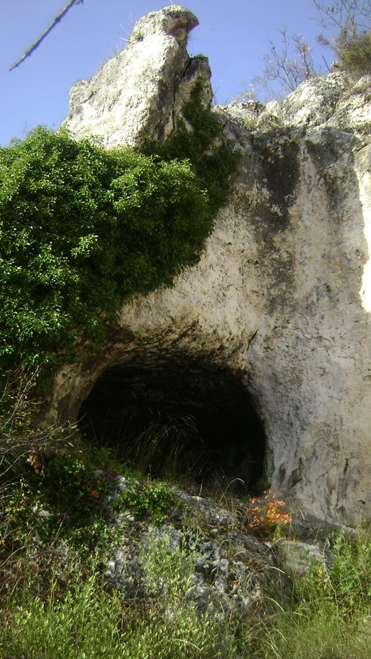 DSC06838-1