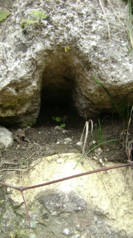 DSC06746-1