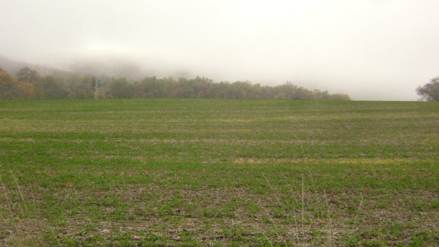 DSC06769-1