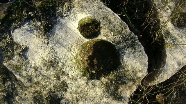 DSC06781-1