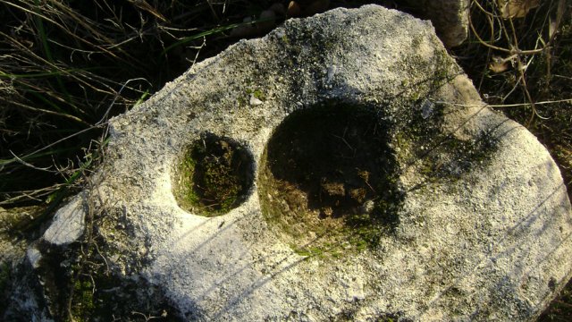 DSC06782-1