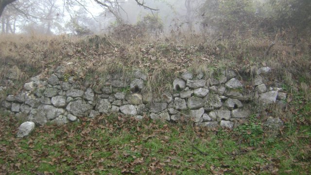 DSC06787-1