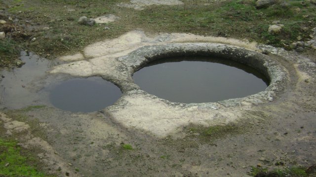 DSC06799-1