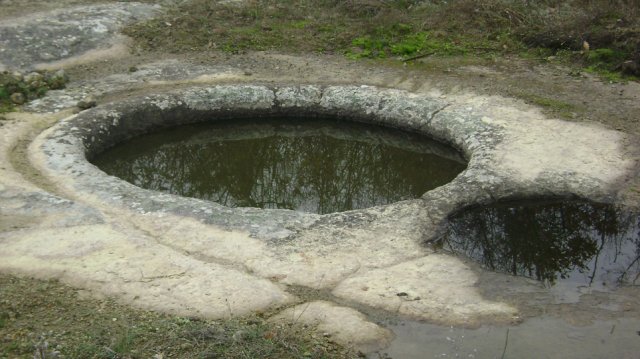 DSC06805-1