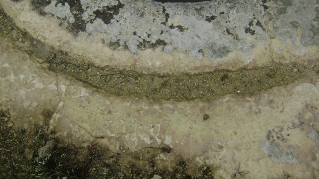 DSC06823-1