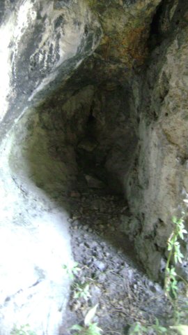 DSC06829-1